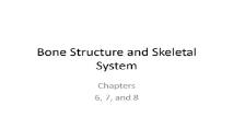Bone Structure and Skeletal System PowerPoint Presentation