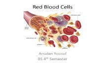 Red Blood Cells PowerPoint Presentation