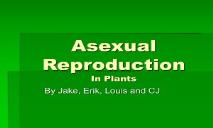 Asexual Reproduction In Plants PowerPoint Presentation