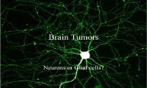 Brain Tumors PowerPoint Presentation