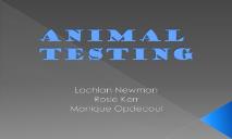 Animal Testing-Wikispaces PowerPoint Presentation