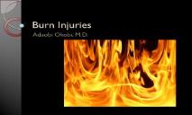 Human Burn Injuries PowerPoint Presentation