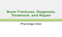 Bone Fractures Diagnosis Treatment and Repair PowerPoint Presentation