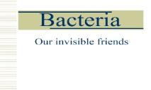 Bacteria PowerPoint Presentation