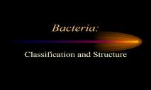A Bacteria PowerPoint Presentation