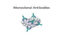 Monoclonal Antibodies PowerPoint Presentation