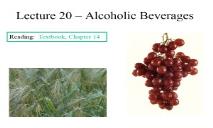 Lecture-Alcoholic Beverages PowerPoint Presentation