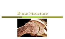 Bone Structure-Pratts Biology PowerPoint Presentation