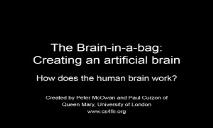 The Brain in a bag PowerPoint Presentation