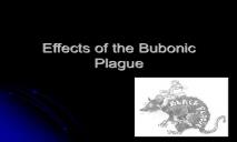 Effects of the Bubonic Plague PowerPoint Presentation
