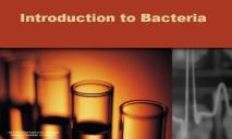 Introduction to Bacteria PowerPoint Presentation