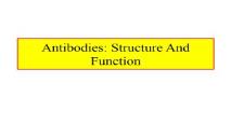 Antibodies-Structure and Function PowerPoint Presentation