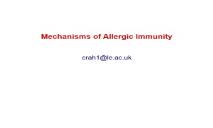 Allergy Disease PowerPoint Presentation
