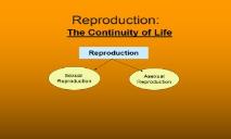 Sexual and Asexual Reproduction PowerPoint Presentation