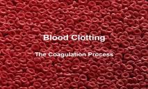 Blood Clotting PowerPoint Presentation
