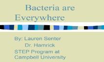Bacteria are Everywhere PowerPoint Presentation