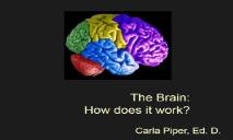 The Brain-How does it work PowerPoint Presentation