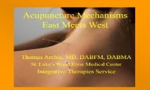 East Meets West Acupuncture Mechanisms PowerPoint Presentation