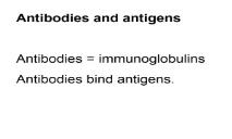 Antibodies and antigens PowerPoint Presentation