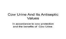 Cow Urine And Its Antiseptic Values PowerPoint Presentation