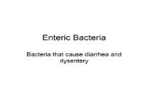 Enteric Bacteria PowerPoint Presentation