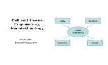 Cell and Tissue Engineering Nanotechnology PowerPoint Presentation