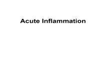 Acute Inflammation PowerPoint Presentation