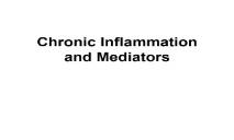 Chronic Inflammation PowerPoint Presentation