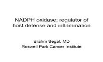 NADPH oxidase-regulator of host defense and inflammation (CGD) PowerPoint Presentation