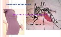 Malaria dalam kehamilan PowerPoint Presentation