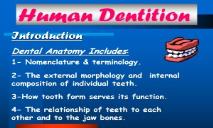 Dental Anatomy Introduction and Nomenclature PowerPoint Presentation