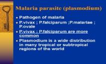 Malaria parasite (plasmodium) PowerPoint Presentation