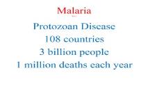 Malaria PowerPoint Presentation
