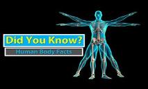 Human Body Facts PowerPoint Presentation