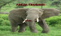 African Elephants PowerPoint Presentation