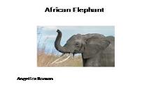 An African Elephant PowerPoint Presentation