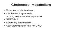 Cholesterol Metabolism PowerPoint Presentation