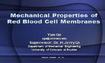 Mechanical Properties of Red Blood Cell Membranes PowerPoint Presentation