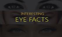 Interesting Eye Facts PowerPoint Presentation