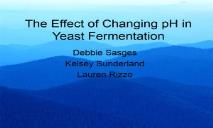 The Effect of Changing pH in Yeast Fermentation PowerPoint Presentation