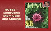 Embryonic Stem Cells and Cloning PowerPoint Presentation