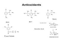 Antioxidants University of Tennessee PowerPoint Presentation