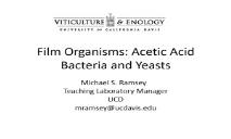 Film Organisms Acetic Acid Bacteria and Yeasts PowerPoint Presentation