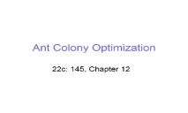 Ant Colony Optimization Mathematical Sciences PowerPoint Presentation