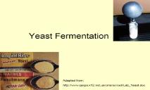 Yeast Fermentation shsbiology FrontPage PowerPoint Presentation