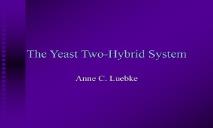 The Yeast Two Hybrid System The Jena Protein Protein PowerPoint Presentation