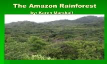 The Amazon Rainforest University of North Texas PowerPoint Presentation
