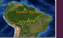 A Amazon Rainforest PowerPoint Presentation
