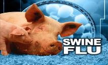 Swine Flu PowerPoint Presentation
