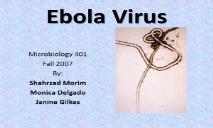 Ebola Virus California State University PowerPoint Presentation